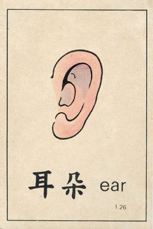 ear