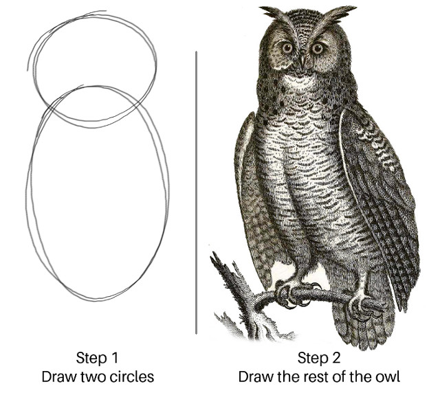 How to draw an owl