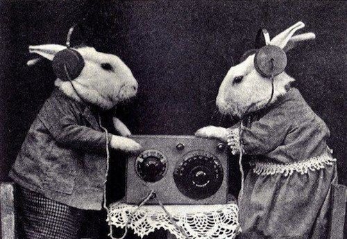 Trying to Reach Alice